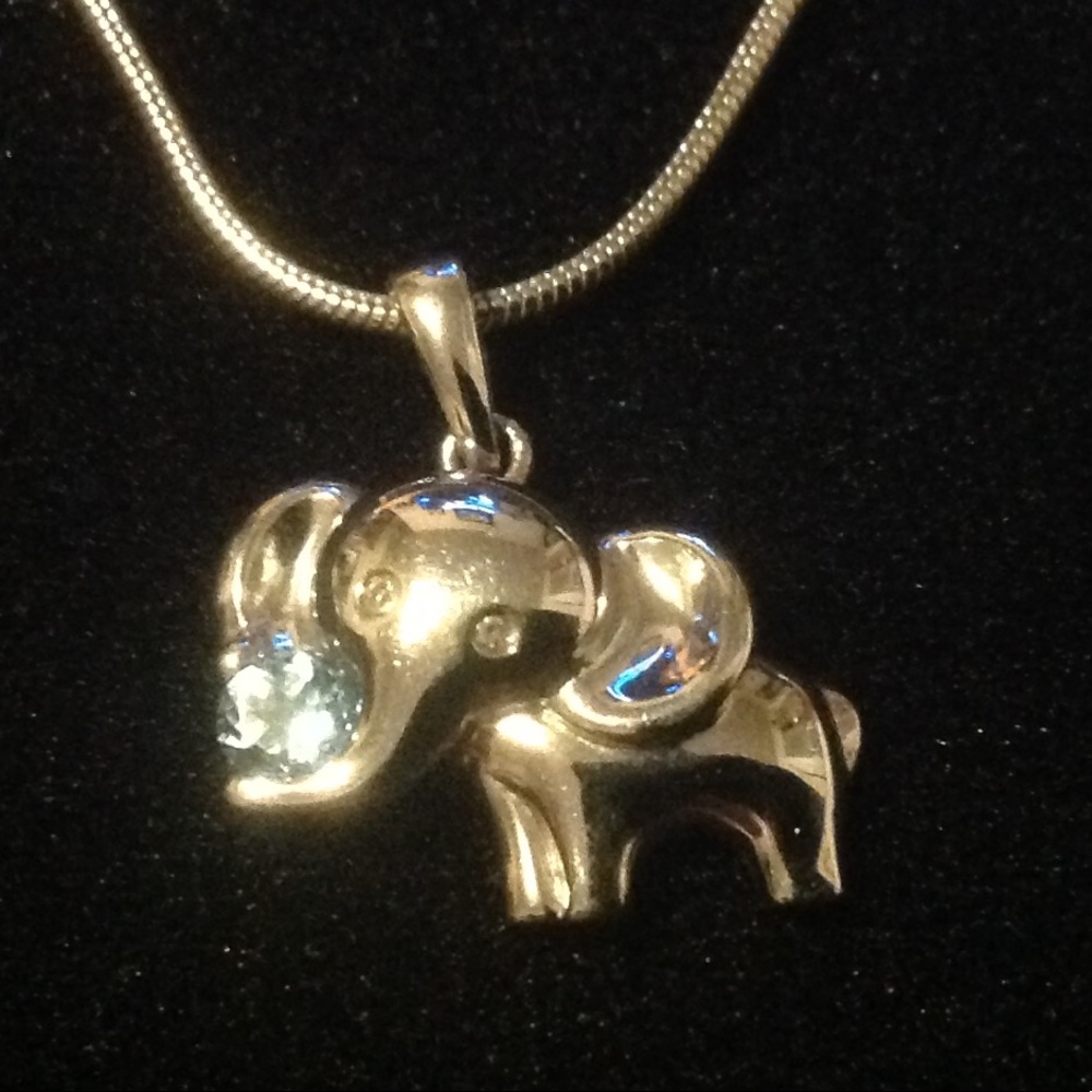 925 necklace and birthstone pendant